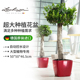 Lechuza德国进口自动吸水花盆室内外酒店落地树脂花盆quadro