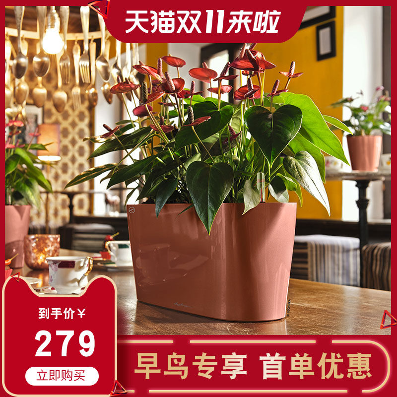 German import Lechuza water uptake Sheung Shui Lazy man resin Plastic desktop mesa Simplicity originality Flower potin the Flower delivery/Flowers simulation/Plants gardening , Vase/Flower/Flowerpot/Flower (New) , Flowerpot  category - from Buy2taobao.com to provide professional Taobao agent buy service