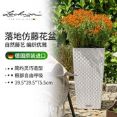 Lechuza德国进口花盆仿藤绿植室内外自动吸水方形树脂cubico