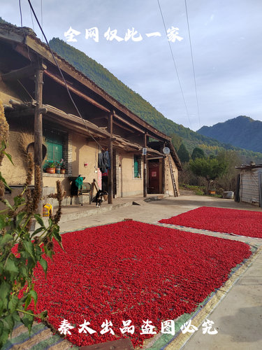 山茱萸中药材正品 山萸肉产地秦岭太白山，高海拔，新货现发