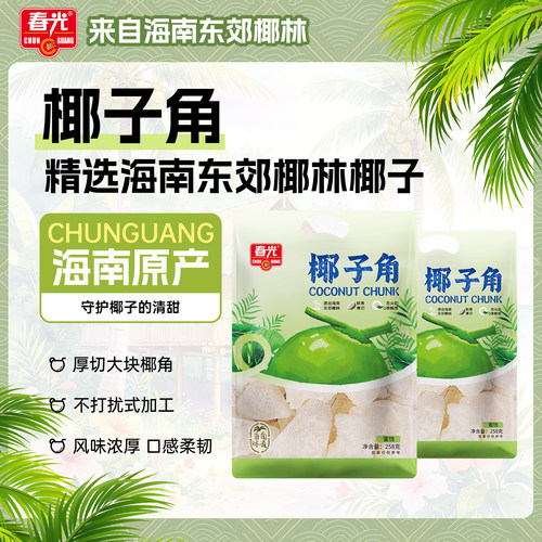春光食品海南特产椰子角椰子肉块椰子片椰角椰香休闲零食