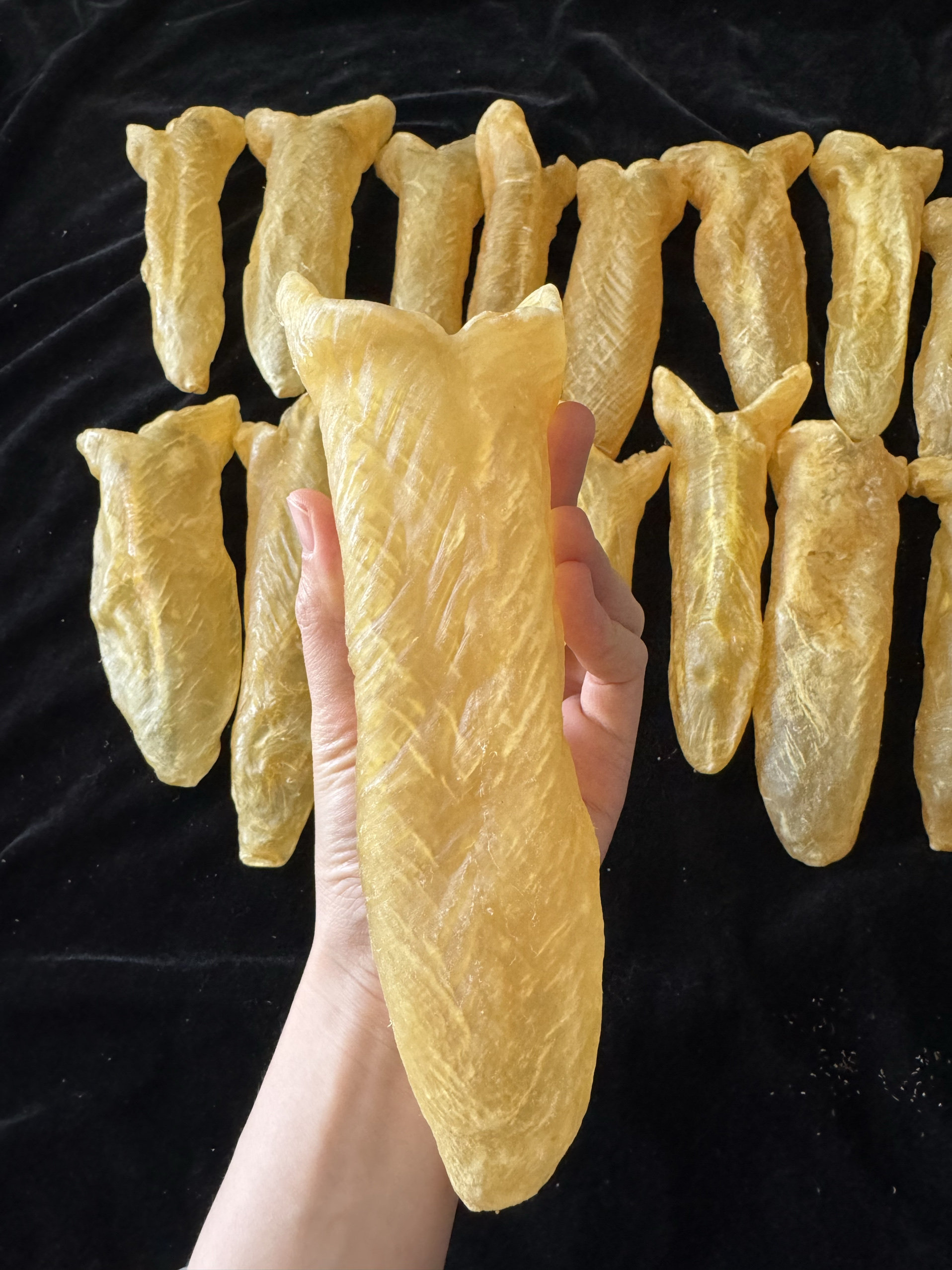 7-8头淡水黄花胶筒足干厚肉老腊正品鱼胶干货孕妇月子滋补礼盒套