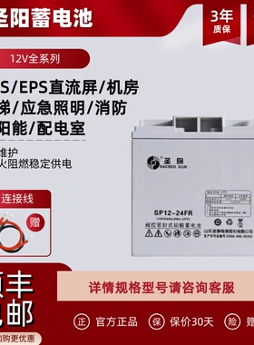 圣阳阀控密封式蓄电池SP12-24FR12V24AH18AH33AH38AHUPSEPS直流屏