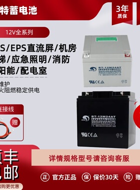 正品赛特蓄电池海湾泰和安青鸟消防主机火灾报警器备用BT-12V24AH