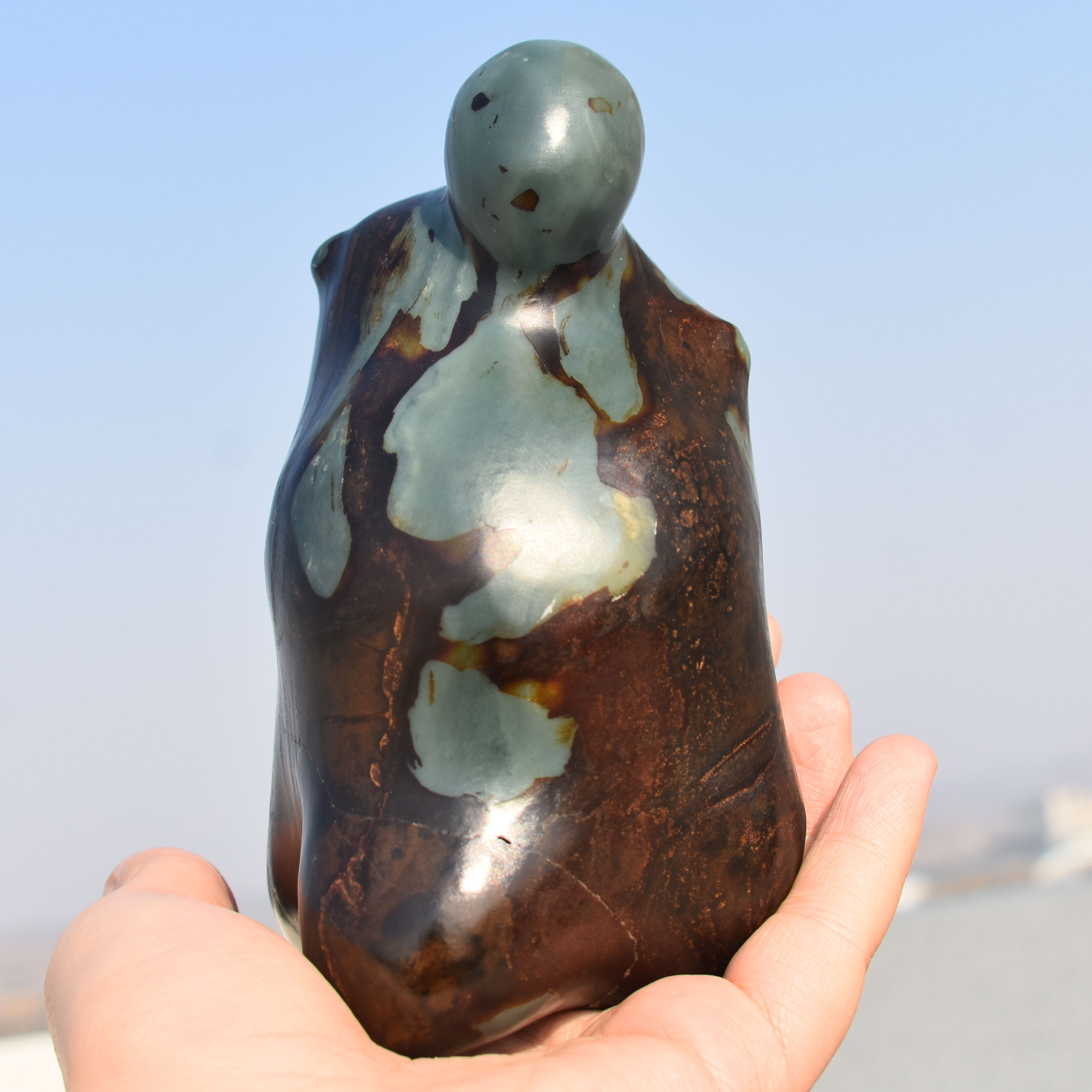 震惊了方言和田玉镇店金鹿皮蓝色蓝玉原生籽料异型意境原石玩料R1