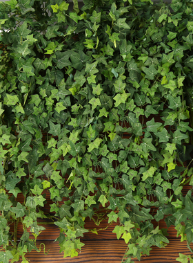 模拟Pothos藤管装饰长藤植物墙挂塑料藤植物天花板叶挂绿色植物