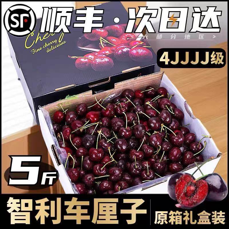 智利车厘子新鲜水果年货整箱礼盒5包邮斤孕妇3j进口5j樱桃原箱4J,水产肉类/新鲜蔬果/熟食,车厘子/樱桃,淘宝优惠券,粉丝福利购,淘宝优惠卷