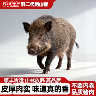 【严选生态散养】跑山猪野二代土猪肉新鲜腿肉生鲜五花肉里脊排骨