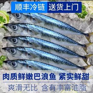 【买5斤送5斤】巴浪鱼野生新鲜活现捕冷冻海鲜鲅鱼棍子鱼顺丰包邮