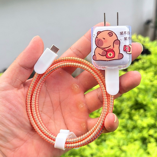 15promax充电器数据线保护套绕绳 适用贝尔金Belkin 45W苹果17