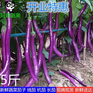 农家自种新鲜茄子现摘现发新鲜蔬菜杭茄线茄子长茄细茄紫茄包邮