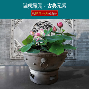 老北京鱼盆虎头鱼盆澄江泥瓦鱼缸瓦缸瓦盆金鱼盆透气鱼缸陶土缸精
