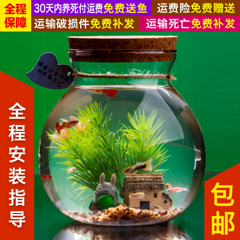 living thing Eco-Bottle living thing Aquarium Care Hopper tank desktop Mini Micro Landscape Landscaping giftin the Pet/Pet food and supplies , Aqua World , Aquarium fish tanks and other equipment , Eco-Bottle/Creative cylinder/Desktop micro-cylinder category - from Buy2taobao.com to provide professional Taobao agent buy service