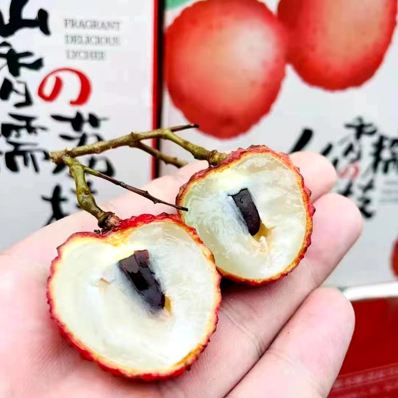 仙香糯荔枝糯米糍二代甜蜜多汁新鲜水果3斤礼盒装果发顺丰包邮