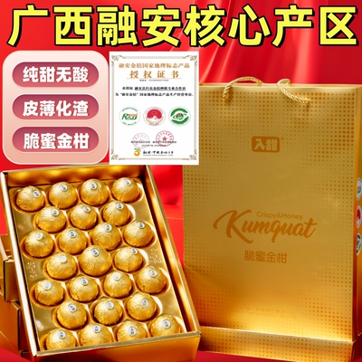 第三代广西融安脆蜜金柑顺丰包邮