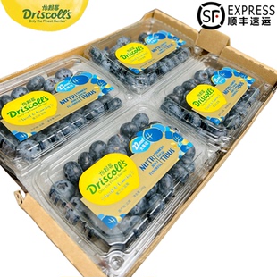 Driscoll 200g顺丰 包邮 s怡颗莓云南蓝莓新鲜巨无霸大果22mm