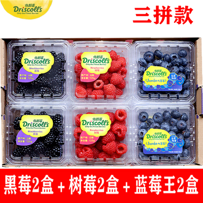 酸甜可口树莓黑莓蓝莓怡颗莓鲜果