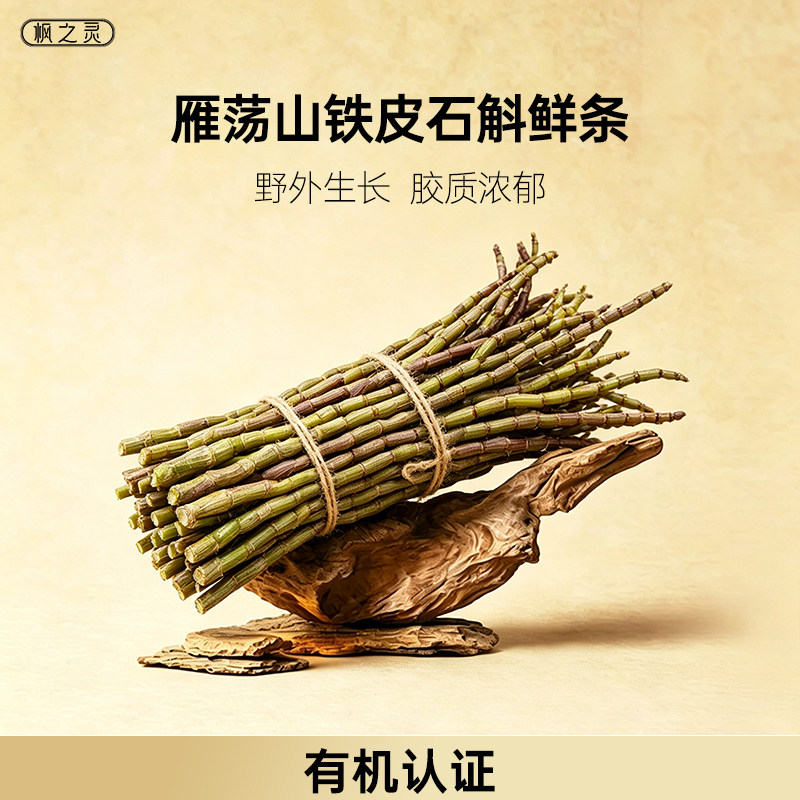 官方正品雁荡山铁皮石斛鲜条新鲜采摘特产干货礼盒浙江正宗好石斛