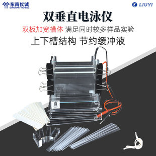 六一双垂直电泳仪DYCZ-24A实验室加宽蛋白凝胶电泳DYCZ-24B电泳槽