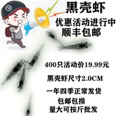 黄金蚬 黑壳虾活体观赏虾 鱼儿虾草缸除藻虾 工具虾 小河蚌 草虾