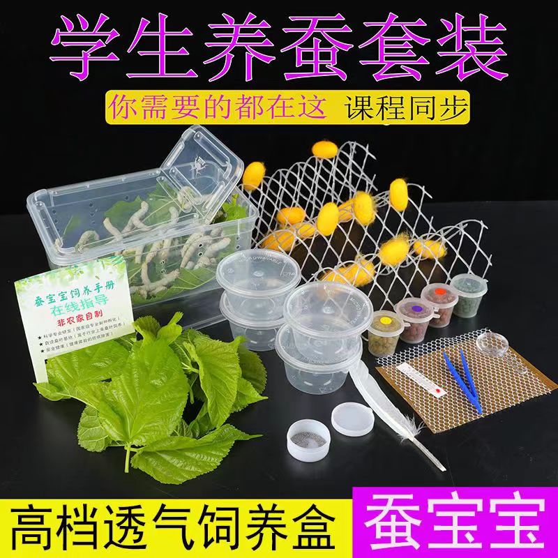 蚕宝宝活物/卵儿童学生养蚕套装巨型活体蚕蚕种春蚕桑叶新鲜饲料