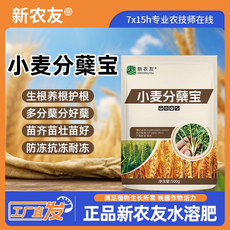 小麦分蘖宝冬小麦壮苗大麦黄金生根壮苗抗旱防冻增产剂抗倒伏