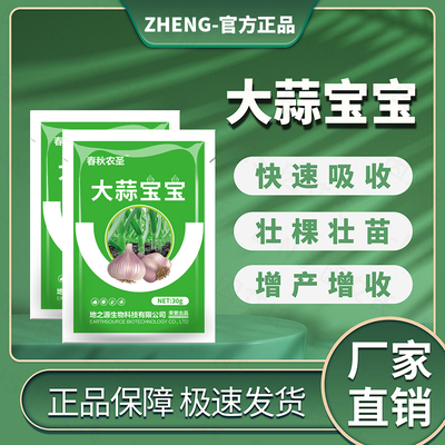 官方正品大蒜宝宝提质增产