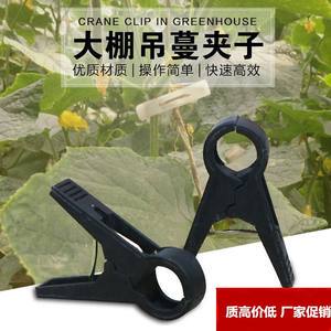 大棚番茄西红柿黄瓜夹子吊秧夹专用绑蔓夹西葫芦扶蔓蔬菜吊蔓夹子