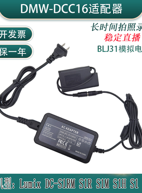 适用松下LumixDC-S1RM DC-S1R DC-S1H S1 DCC16适配器假电池BLJ31