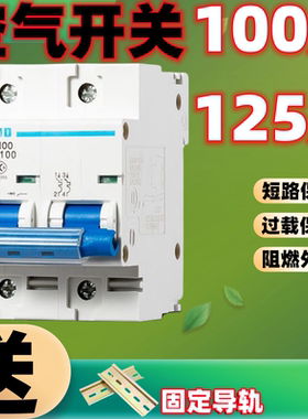 小型断路器DZ47空气开关家用漏电2P100A空开短路过载保护漏保125A