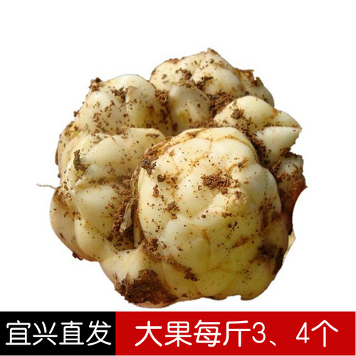 宜兴百合微苦每斤全国大部