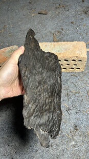 阴沉金丝楠木全满细凤尾穿透铁骨小料 尺寸 34/11/7