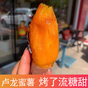 卢龙沙地蜜薯糖心红薯新鲜秦皇岛白薯烟薯25号红心番薯地瓜农家