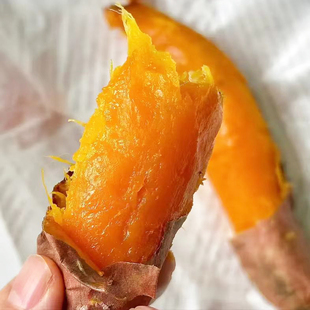 卢龙新鲜红薯白薯秦皇岛烟薯25红心番薯沙地蜜薯糖心农家地瓜5斤