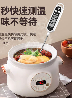 食品温度计水温计水温测量计油温计测奶温面包烘培厨房电子探针式