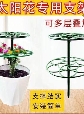 太阳花架棒棒糖造型架防倒伏花架子多层蟹爪兰支撑杆植物爬藤固定
