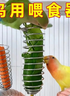 鸟类喂食器不锈钢水果蔬菜篮悬挂式玩具鹦鹉投喂神器鸟笼配件用品