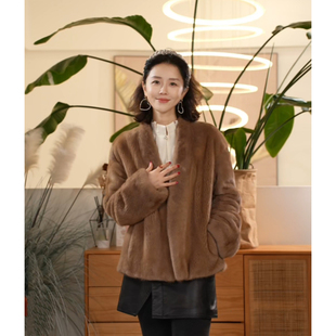 长袖 水貂紫标毛皮短款 拿破仑 V领纯色皮草舒适外套 叭哒不惑