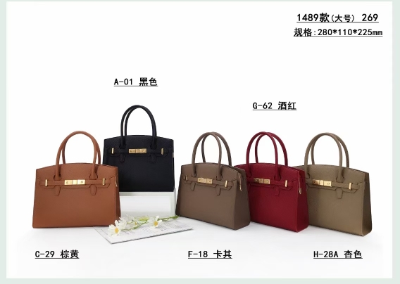 专柜正品高级感手提包凯莉包皮带装饰商场同款气质单肩斜挎女包