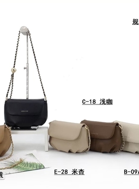 专柜正品女包新款小包链条马鞍包高级感小众褶皱云朵包单肩斜挎包