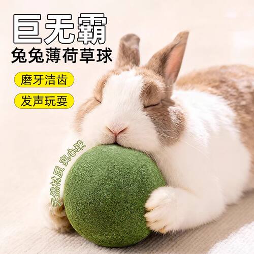 兔子草球超大解闷玩具耐啃咬化毛小侏儒兔龙猫荷兰猪专用磨牙零食