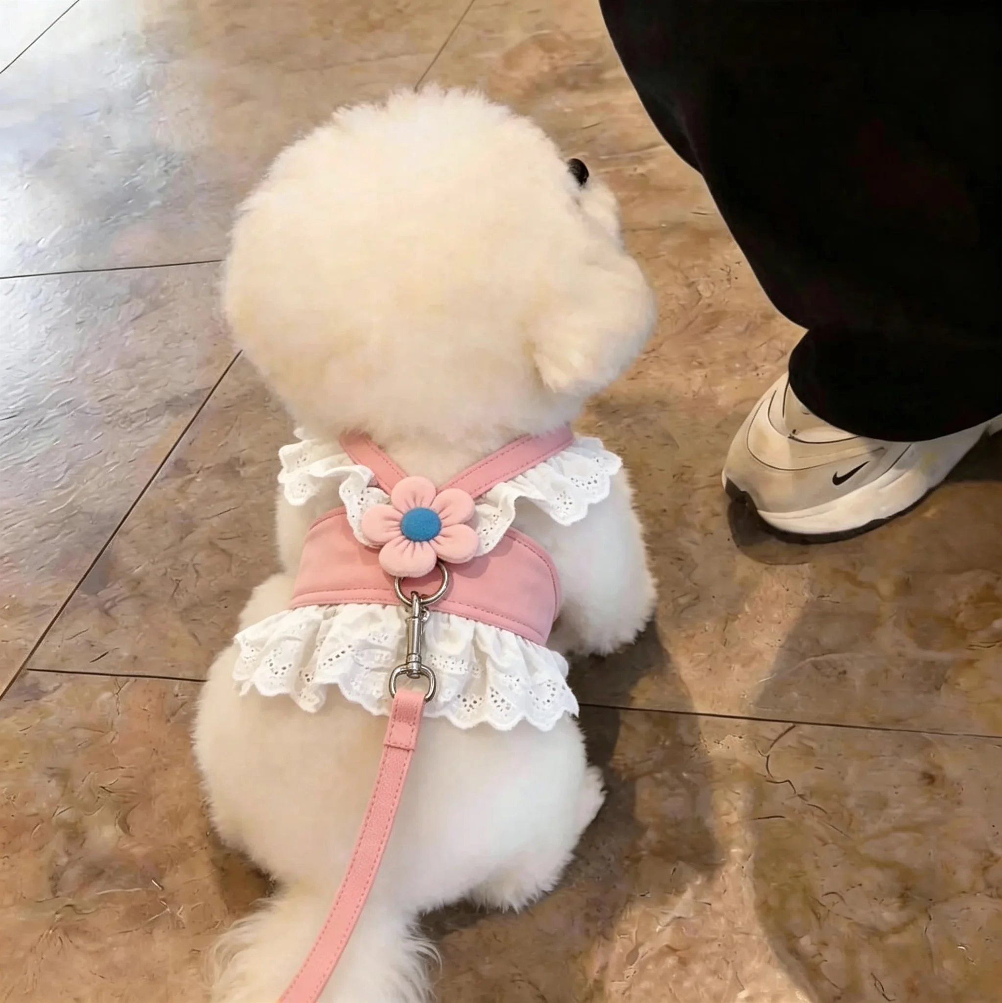 狗狗胸背带牵引绳小型犬马尔济斯泰迪比熊宠物背心式绳子夏天透气图片