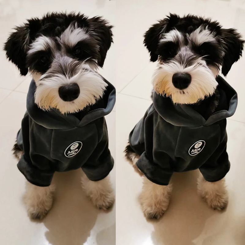 小狗狗衣服秋冬加绒卫衣冬季过冬绒衣泰迪博美比熊宠物猫咪加厚款