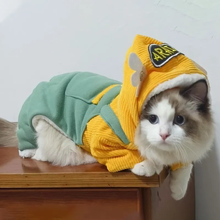 可爱猫咪衣服秋冬装布偶蓝猫英短小型幼犬宠物狗狗加绒保暖背带裤