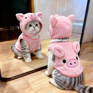 可爱猫咪衣服小猪背心秋冬款布偶防掉毛加绒卫衣宠物狗狗保暖马甲