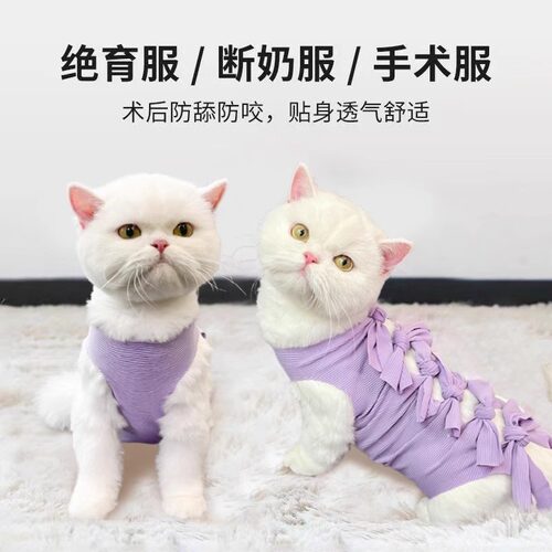 猫咪绝育服母猫手术服戒断奶衣服透气生理裤用药防舔宠物衣服用品