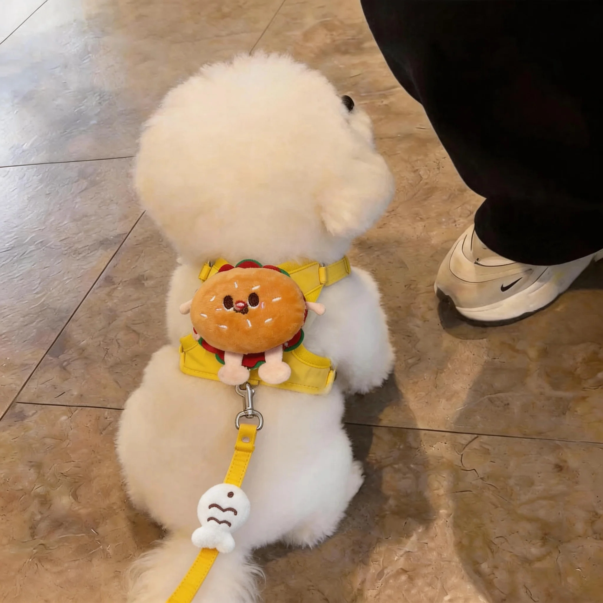 狗狗牵引绳防脱背心式胸背带幼猫中小型犬泰迪比熊博美外出遛狗绳图片