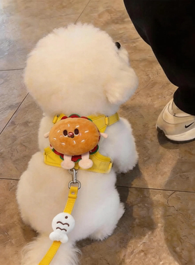 狗狗牵引绳防脱背心式胸背带幼猫中小型犬泰迪比熊博美外出遛狗绳