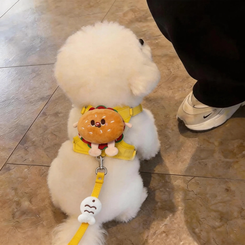 狗狗牵引绳防脱背心式胸背带幼猫中小型犬泰迪比熊博美外出遛狗绳
