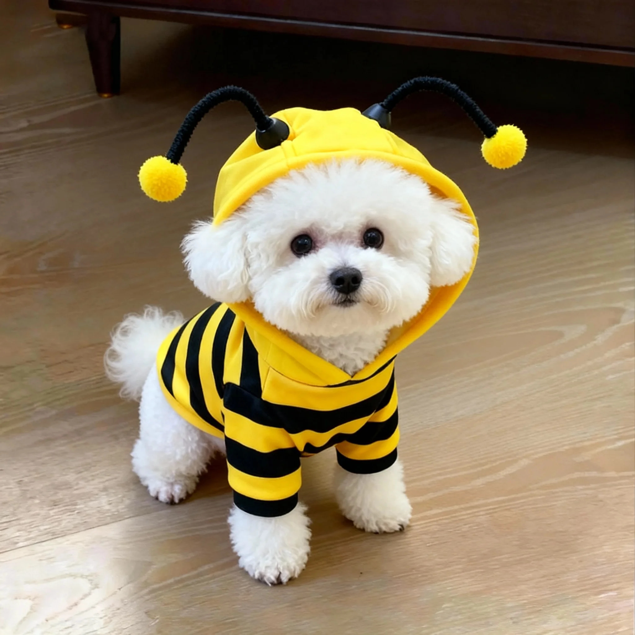 狗狗衣服春秋款蜜蜂装柯基泰迪比熊贵宾中小型犬宠物猫咪保暖卫衣